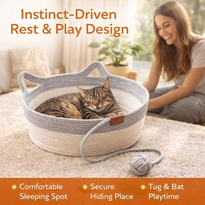 Sleep Scratch Play Basket – PawNexa